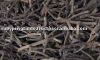 Clove Stem