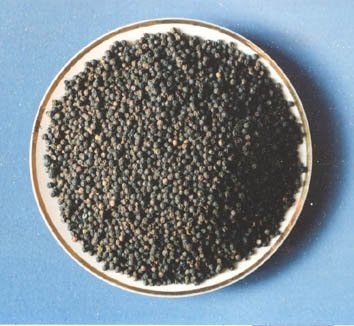 Black pepper