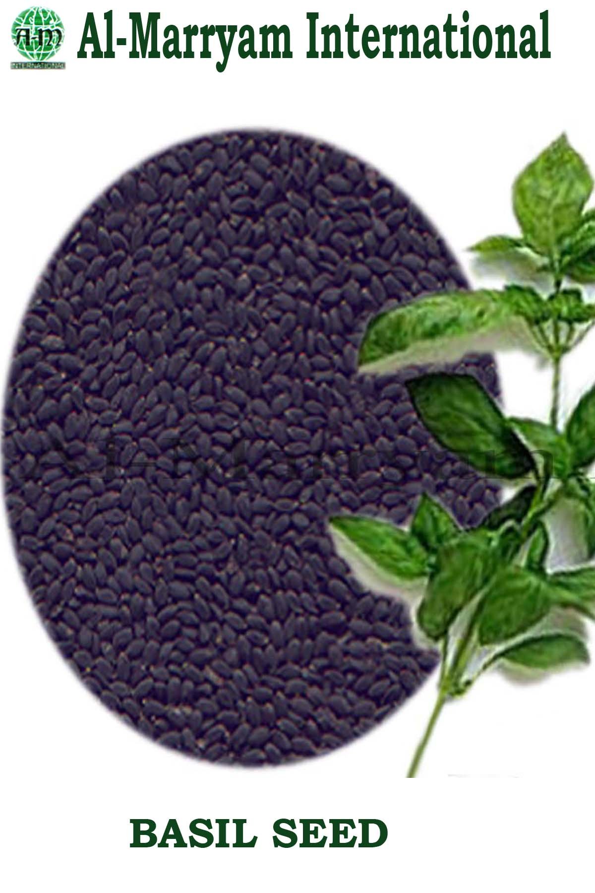 Basil Seed
