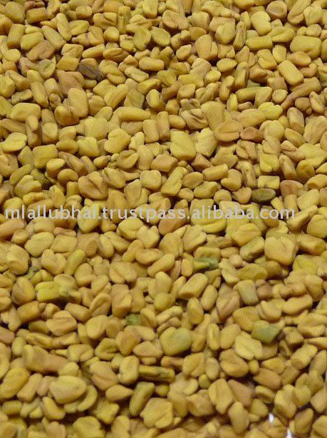 Fenugreek Seeds