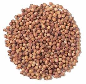 Organic Coriander Seed