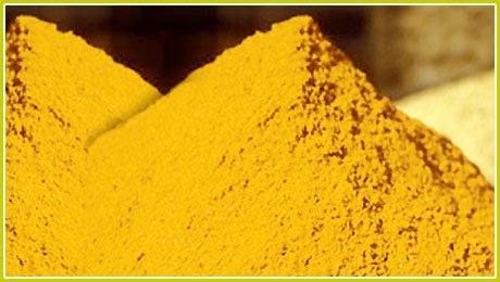 Turmeric Whole & Turmeric Pwder