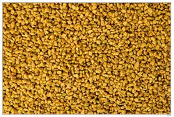 Fenugreek Seeds