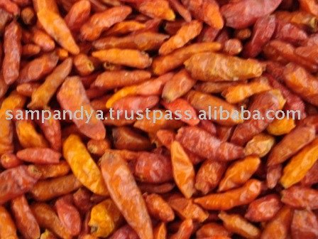 Bird eye chili
