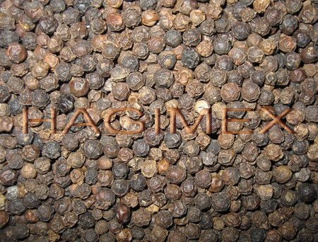 Black Pepper