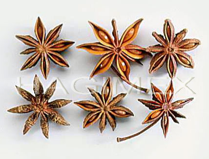 Vietnamese  Star   aniseed  with stems