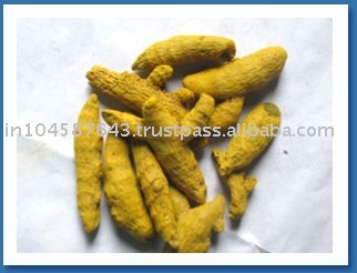  ERODE   turmeric 