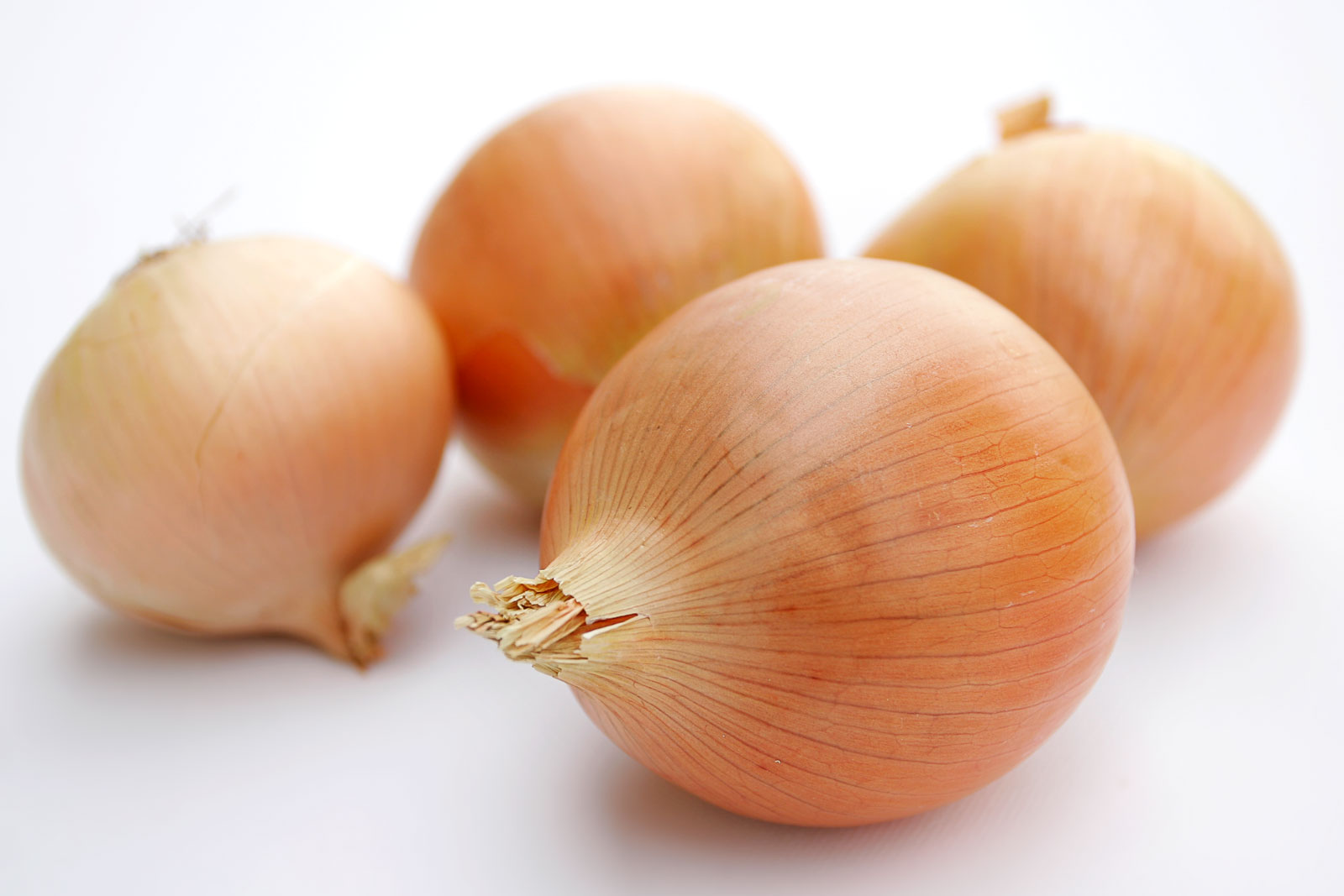 vegetables onion
