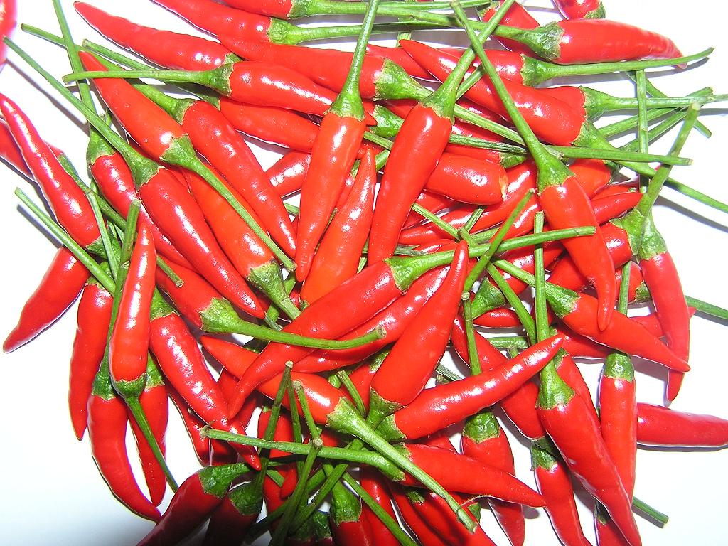 Small Red Chilli