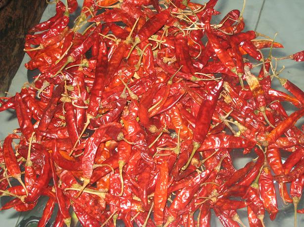  Dry   Whole   Chilli  with Stem