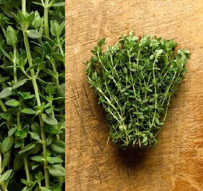 Fresh Thyme delivered daily all year long