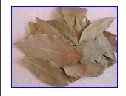 Bay Leaves