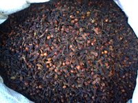 Cloves