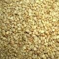 Sesame Seed