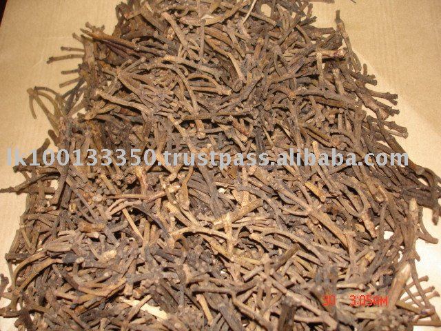 Clove stem