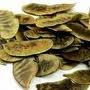 SEENA LEAVES