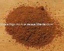 Curry Powder