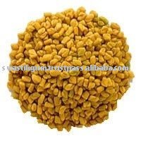 Good Quality Fenugreek Seeds