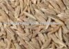  Cumin  seeds best  price ,Good Quality