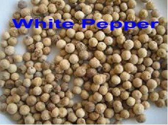 White pepper wholes and powder ( Steam  sterilized)