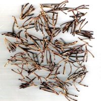 Cloves Stems