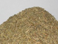 Cumin Seeds