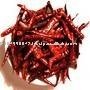 Stemless Dry Red Chillies