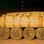 Ceylon Cinnamon