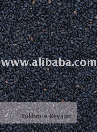 Basil Seed