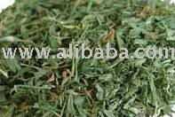 ALFAFA SPICES