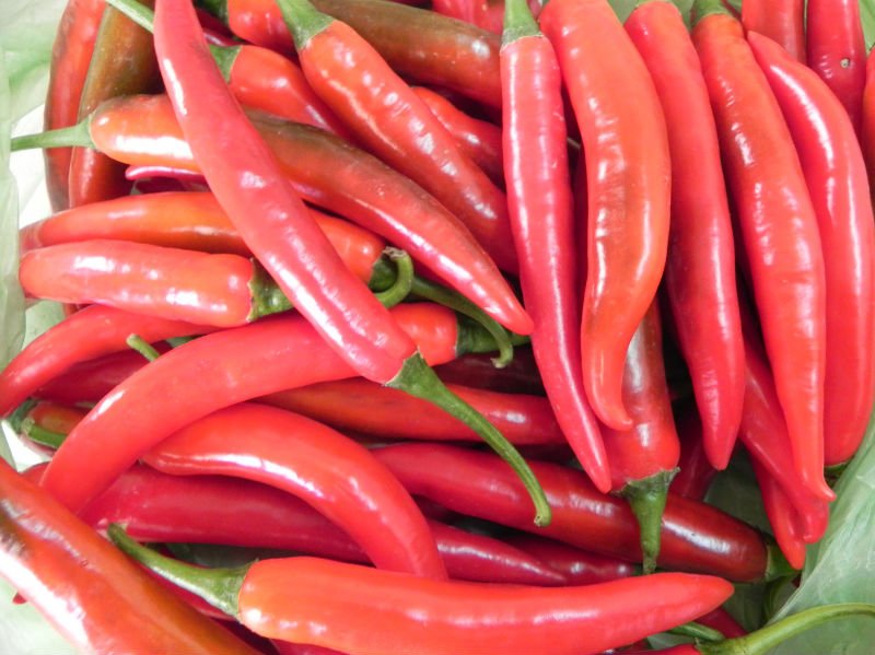 Fresh chilli