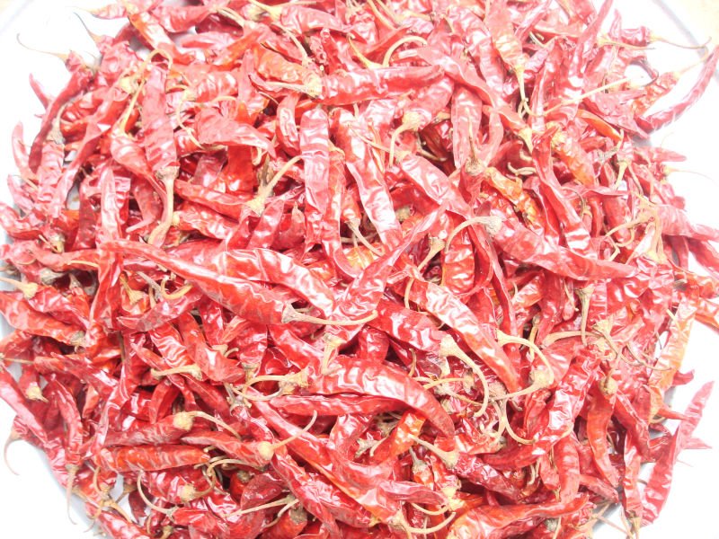 dried chilli