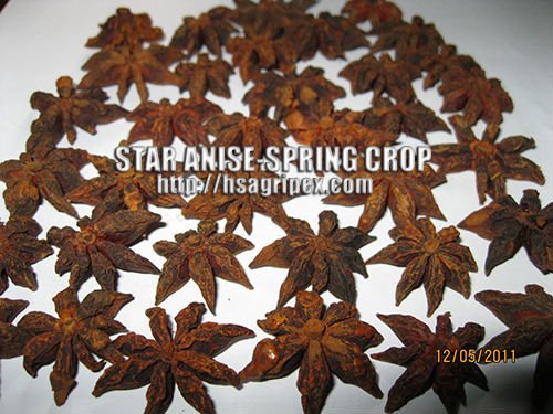 STAR ANISEED-GOOD QUALITY