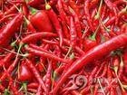 quality  dry   chilli es  pepper s ready for supply