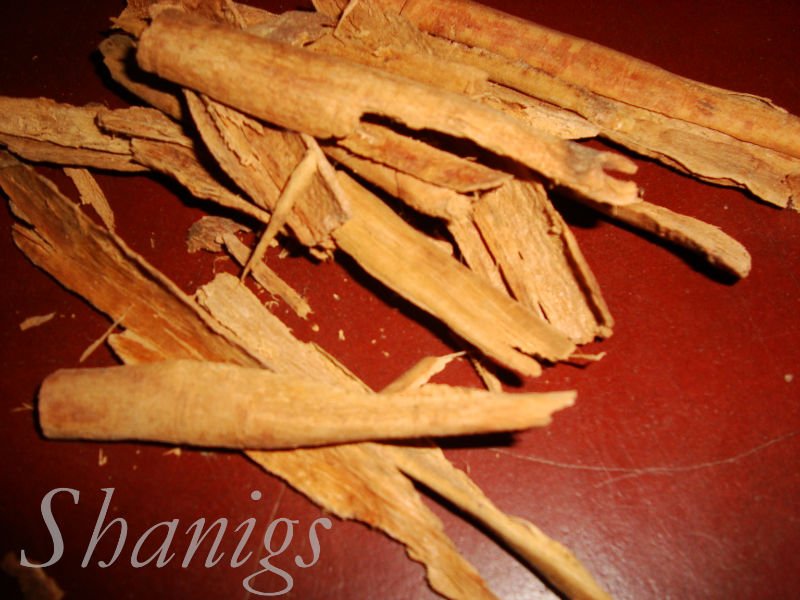  Cinnamon   Quillings 