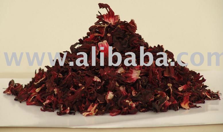 hibiscus flower