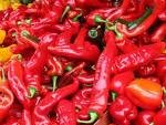 Red chilli peper