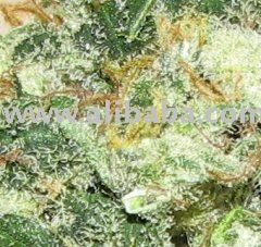  Citral s