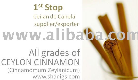 Ceylon CINNAMON supplier
