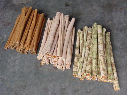 Cassia Sticks