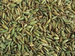 FENNEL WHOLE (BIG SIZE QUALITY)
