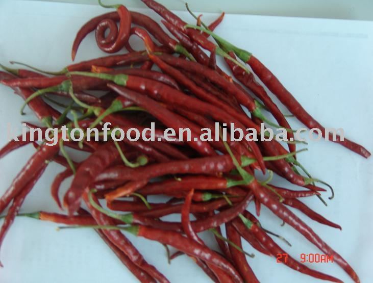 Tianying Chili