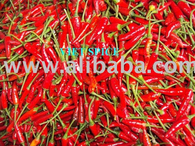 Fresh Chili hot peper