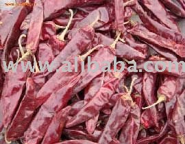 NO.5 Chillies