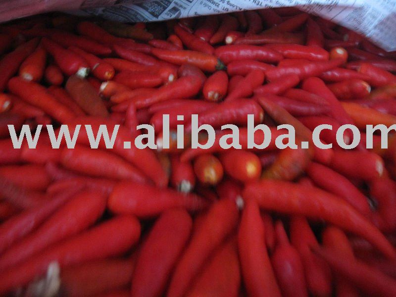 Frozen Chilli