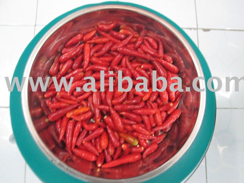 Fresh small chilli without stem