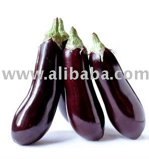 Fresh Eggplant