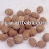 Best quality Nutmeg without shell
