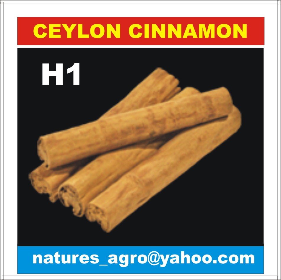 CINNAMON - H1/H2/M5/M4/C5/C4/ALBA/CUT Cinnamon & ect