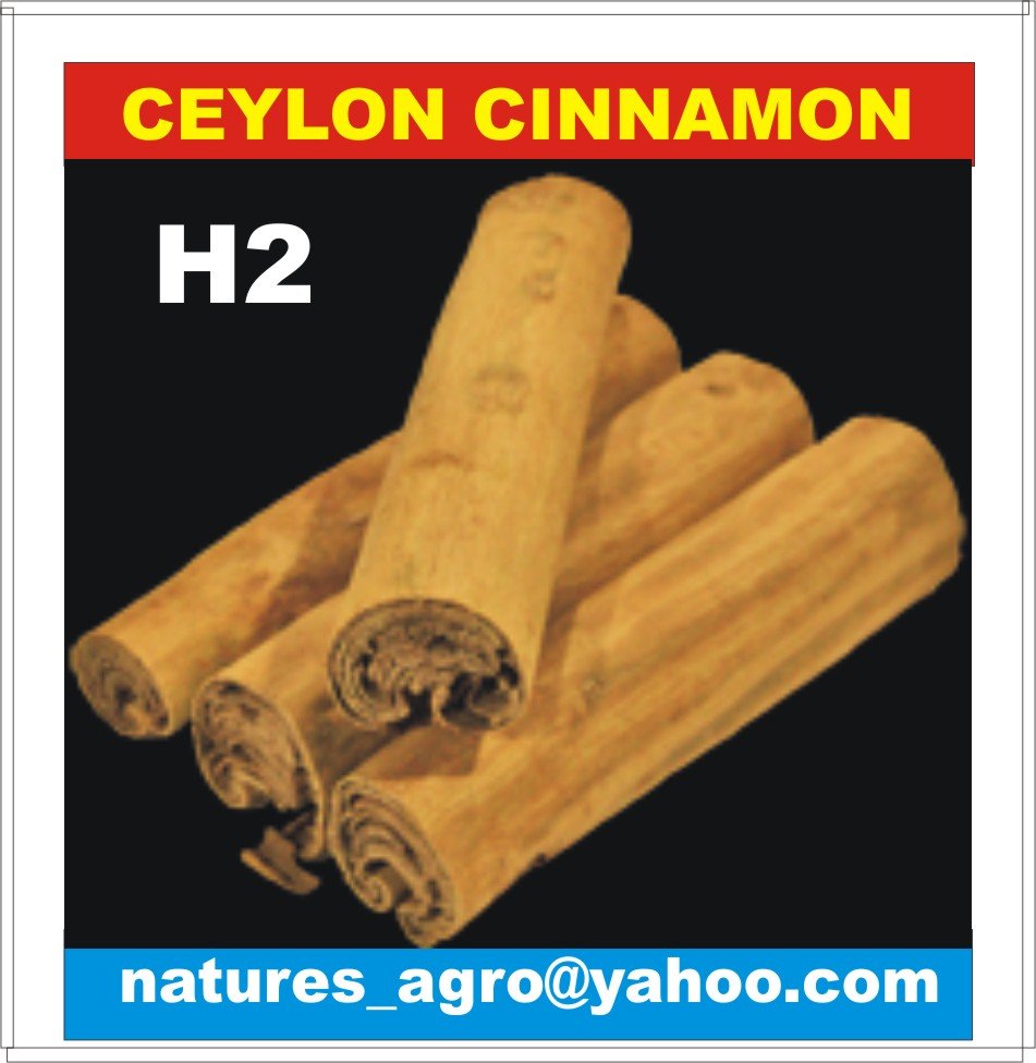 CEYLON CINNAMON - H1/H2/M5/M4/C5/C4/ALBA/CUT Cinnamon   ect
